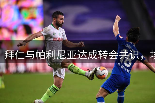 拜仁与帕利尼亚达成转会共识，埃贝尔表达感谢